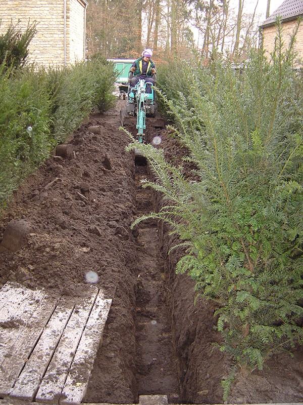 aanplantingen 1